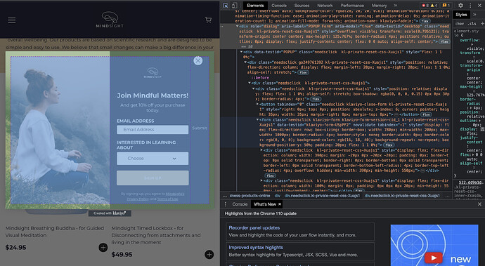 Screenshot 2023-03-01 at 11.23.01 AM.png