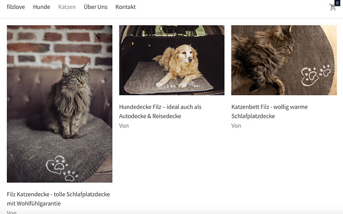 Bildschirmfoto 2021-03-03 um 13.05.11.png