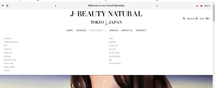 スクリーンショット 2024-12-17 111809.jpg