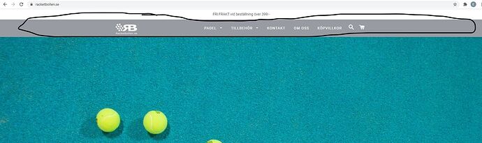 Skärmbild 2021-09-21 080219.jpg