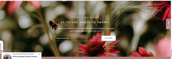 petitlaurierco_1-1640197603616.png