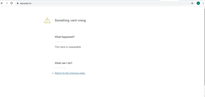 Here is the message I see each time I try to access or visit the store