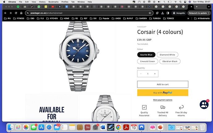 With Shop Pay disabled.jpeg