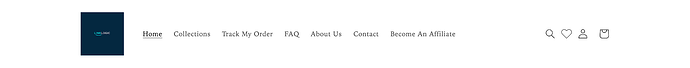 PageFlyRichard_0-1678956432820.png
