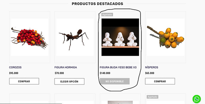 Captura de Pantalla 2023-05-04 a la(s) 4.53.24 p.m..png