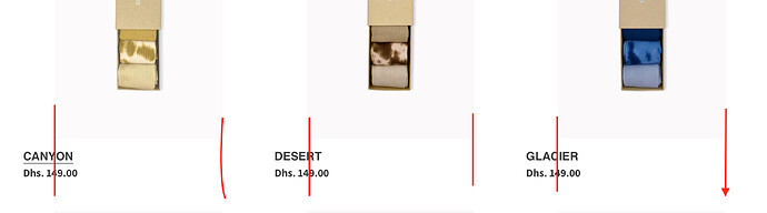 Screen Shot 2022-03-09 at 1.01.44 PM.png