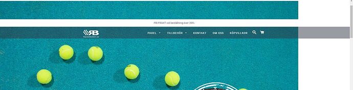 Skärmbild 2021-09-20 093020.jpg