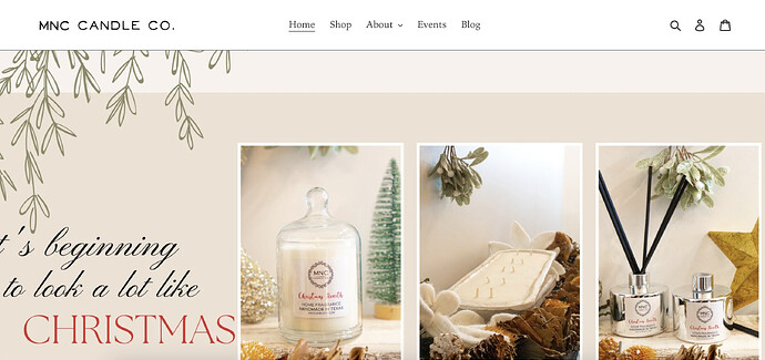 Screenshot 2022-12-02 at 8.29.53 AM.png