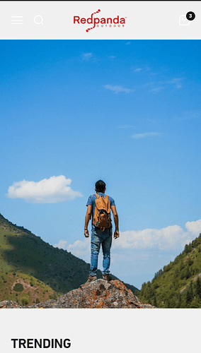 Screenshot 2024-10-06 133647.png