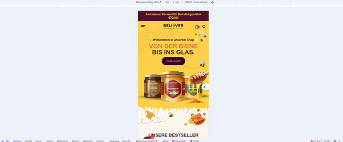 BSSCommerceHDL_0-1722166765770.png