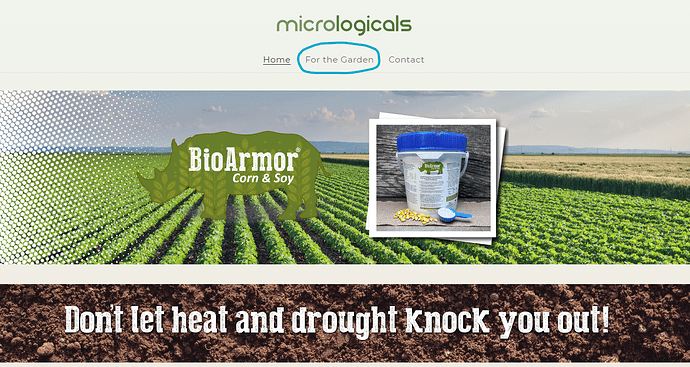 Micrologicals_0-1697042571155.png