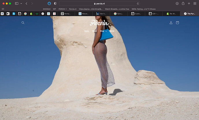 Screenshot 2022-10-18 at 19.22.54.png