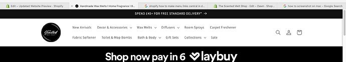 Screenshot 2024-12-30 at 16.43.53.jpeg