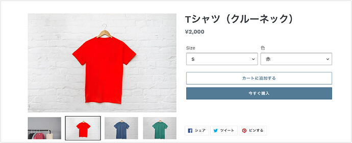 T__test_store_japan_support_2021-01-16_10-57-12