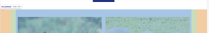 Screen Shot 2021-01-26 at 12.44.28 PM.png