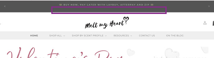 Screenshot 2024-01-25 at 1.00.43 PM.png