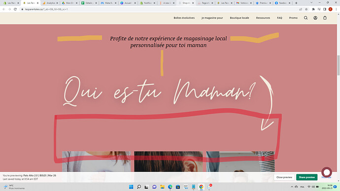 Capture d’écran (17).png