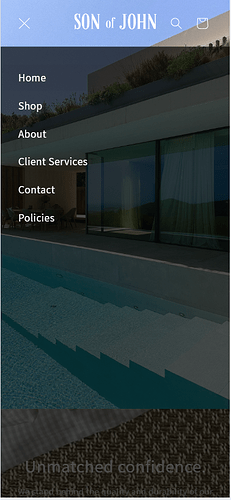 BSSTekLabs_0-1723637609436.png