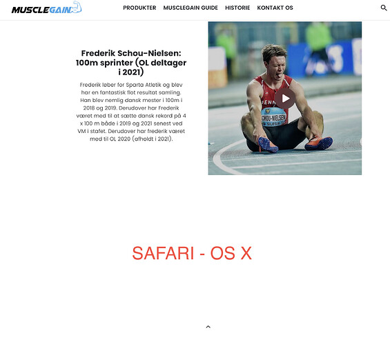 Skærmbillede 2022-11-30 kl. 19.02.35.png