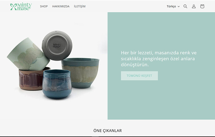 LizHoang_0-1739453567342.png