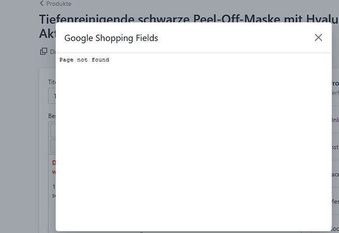 Google kategorie fehler.JPG