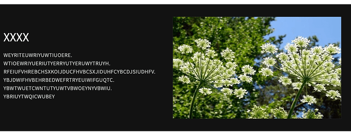 Screenshot 2023-07-10 at 12.07.39 PM.png