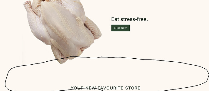 Screenshot 2021-02-17 at 1.16.23 PM.png