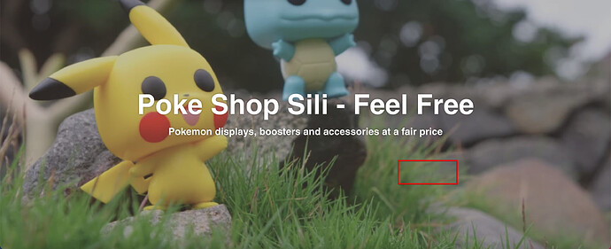 Poke Shop Sili 2021-03-03 08-21-18.png