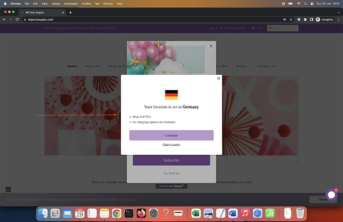Screenshot 2023-01-29 at 16.37.07.png