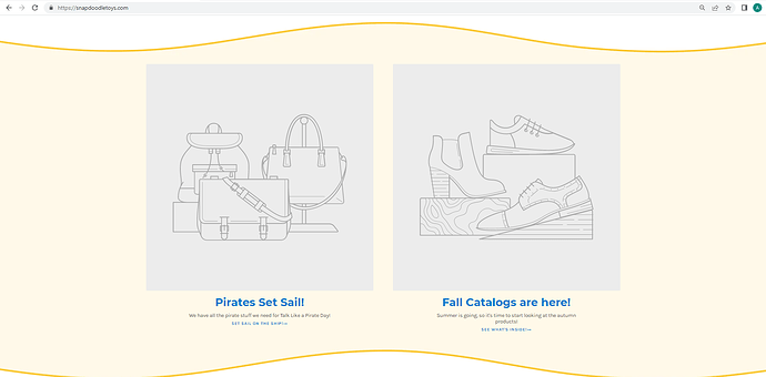 shopify fail 1.png