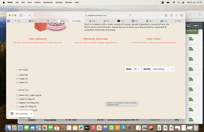 Screenshot 2024-06-05 at 13.19.31.png