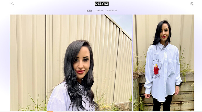 view - 2024-01-11T091935.050.png