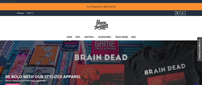 ShaneinvasionStore-Stylized-Cartoon-Art-for-Adult-Unisex.png