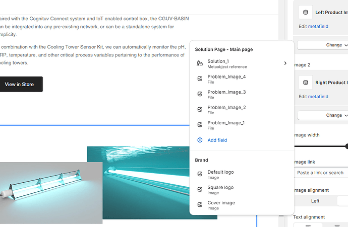 CognituvTeam_1-1706122062558.png