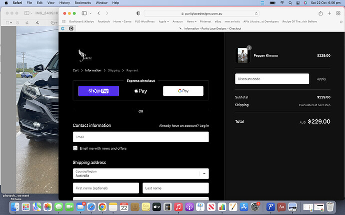 Screen Shot 2022-10-22 at 6.56.08 pm.png
