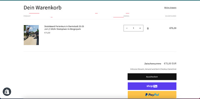 hier lande ich immer wenn ich auf "auschecken" klicke. Schein ein loop zu sein.