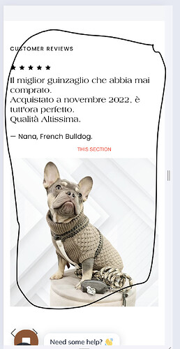 Screenshot 2024-04-30 at 12.47.41.png