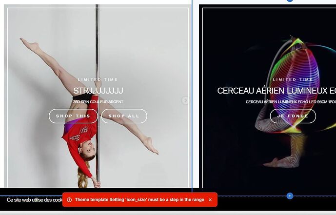 Capture dance-store.JPG