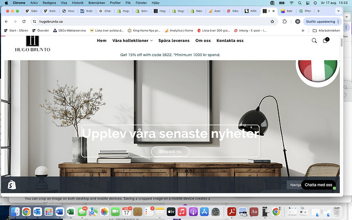 Skärmavbild 2024-08-17 kl. 13.33.10.png