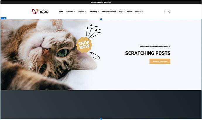 Capture d’écran, le 2024-07-09 à 10.19.24.png