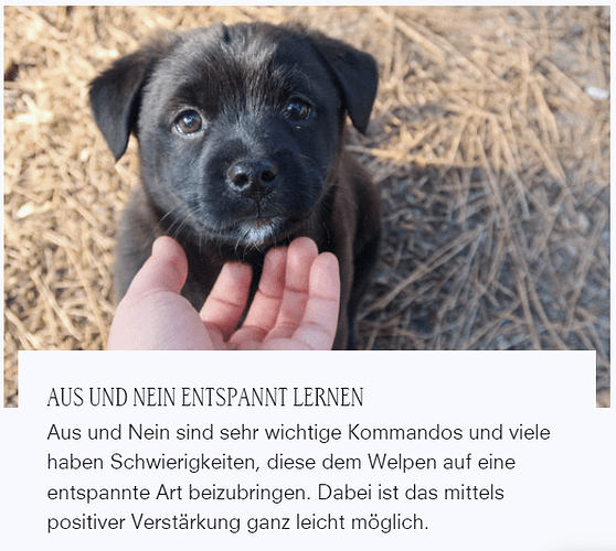 blog richtig.PNG