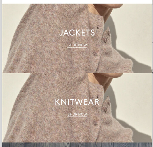 Screen Shot 2022-04-11 at 4.03.48 pm.png