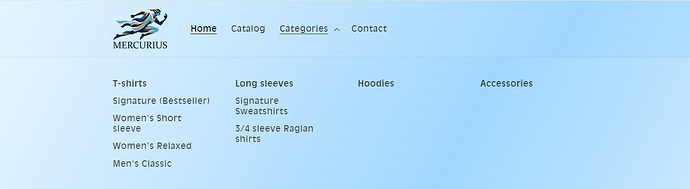 Shopify Question.png