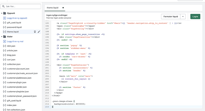 Skjermbilde 2023-04-20 kl. 10.22.05.png