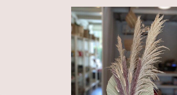 Screenshot 2021-10-07 121725.png