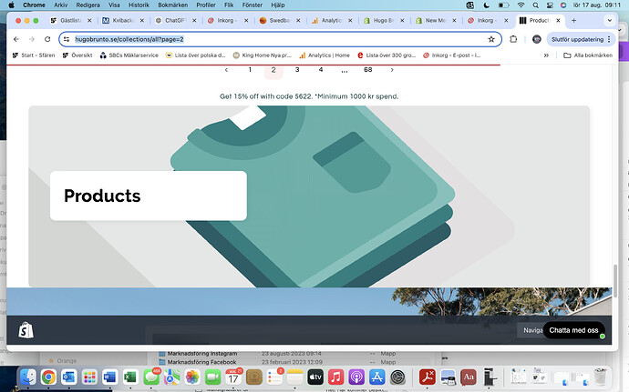 Skärmavbild 2024-08-17 kl. 09.11.16.png