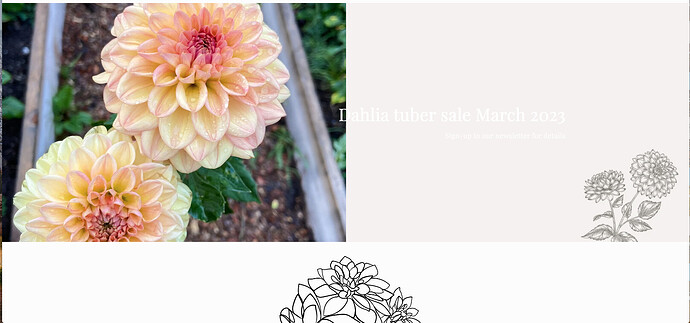 Screen Shot 2023-01-21 at 7.40.06 AM.png