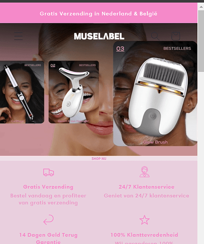 BSSCommerceTC_2-1720950876696.png