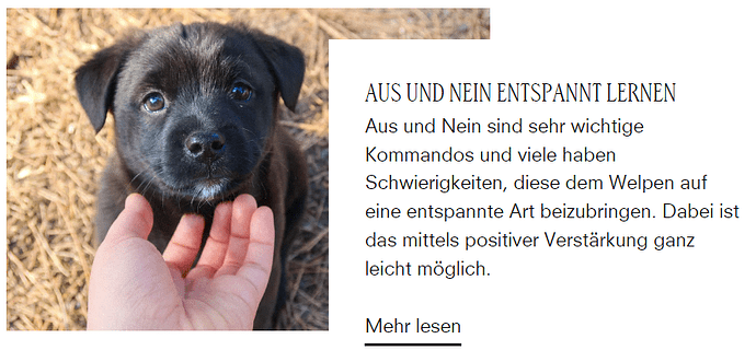 blog falsch.PNG