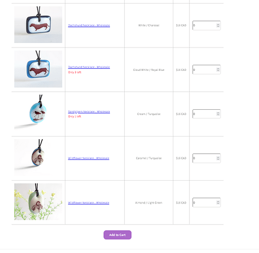 Screen Shot 2022-12-16 at 1.05.29 PM.png